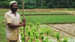 आदिवासी शेतकऱ्याची जमीन नियमित करण्यास १६ वर्षांचा विलंब ; उच्च न्यायालयाचे ठाणे जिल्हाधिकाऱ्यांच्या निष्क्रियतेवर ताशेरे