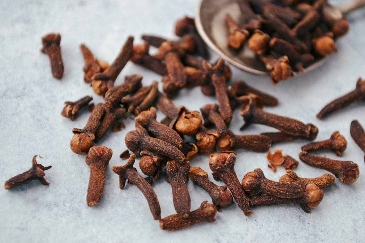 Hot Clove Water Health Benefits