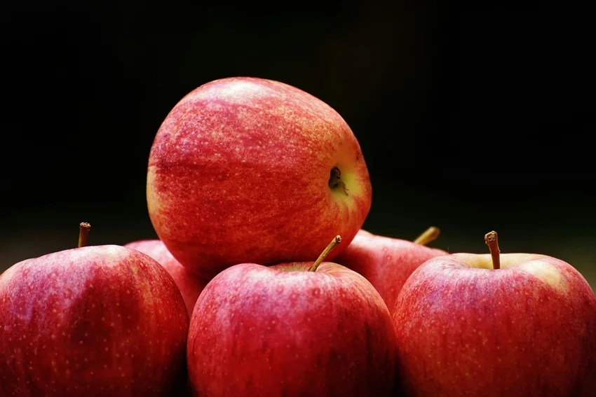Identify Real vs Artificial Apples
