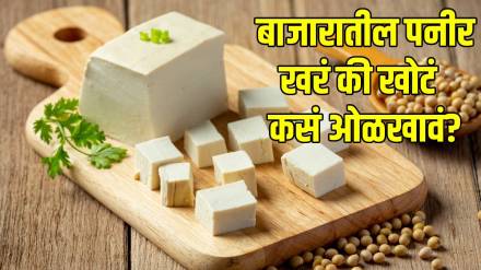 How-to-recognize-fake-paneer How-to-recognize-fake-paneer