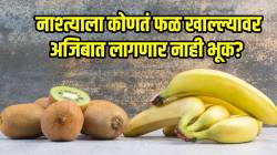 केळी की अ‍ॅव्होकॅडो? सकाळ नाश्त्याला कोणतं फळ खाल्ल्यावर अजिबात लागणार नाही भूक? ऋजुता दिवेकर सांगतात…