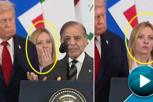 Italian-Prime-Minister-Giorgia-Meloni-reactions