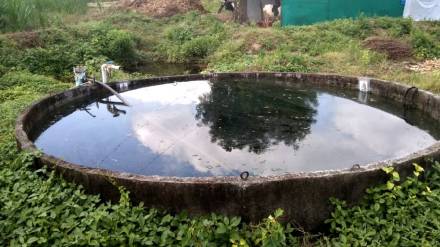 Significant increase in water level of wells in Jalgaon district