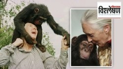 Jane Goodaal chimpanzees चिंपांझी आणि माणसातील साम्य शोधणाऱ्या डॉ. जेन गुडॉल कोण होत्या? बार्बीनेही स्पेशल बाहुली का काढली?