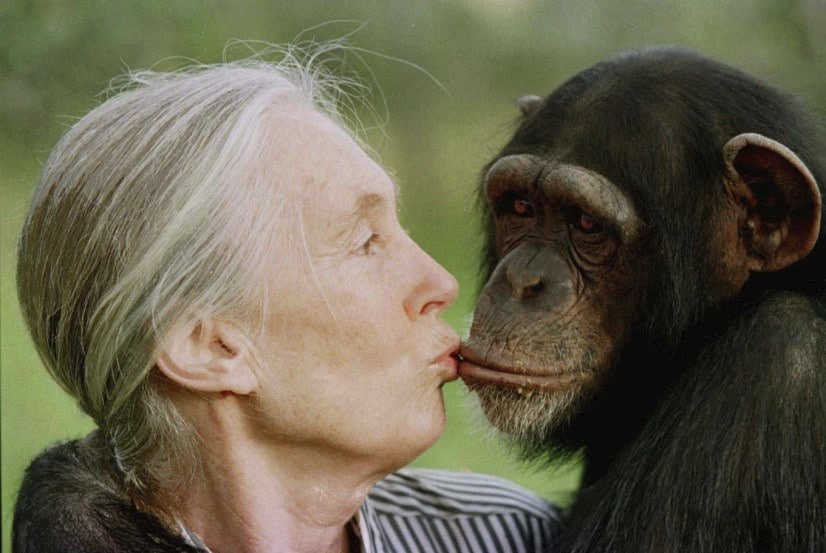 Dr. Jane Goodall