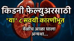 Kidney Failure Causes: किडनी फेल्युअर होण्यासाठी ‘या’ ८ सवयी कारणीभूत; वेळीच आळा घालणं का गरजेचं आहे?