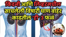 किडनी आणि लिव्हरमधील चिकटलेली घाण होईल स्वच्छ; फक्त ‘ही’ ३ फळं रोज खा; डॉक्टरांनी सांगितला आश्चर्यकारक परिणाम