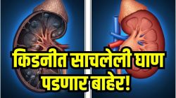 किडनीत साचलेली संपूर्ण घाण लघवीतून झटक्यात पडणार बाहेर, फक्त पाणीच नाही तर ‘ही’ ५ नैसर्गिक पेयांची यादी पाहा, किडनी होणार नाही खराब