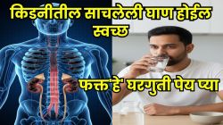 किडनीतील घाण लगेच लघवीवाटे बाहेर पडणार; फक्त रोज ‘हे’ घरगुती पेय प्या; किडनी होणार नाही खराब