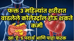 पोटातून खराब कोलेस्ट्रॉल बाहेर फेकणार ‘हे’ ५ पदार्थ; फक्त ३ महिन्यांत हृदयाच्या नसा स्वच्छ होऊन हार्ट अटॅकचा धोका होईल कमी