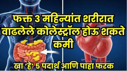 Reduce Bad Cholesterol