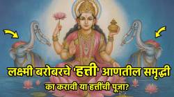 Diwali Laxmi Poojan 2025: लक्ष्मी बरोबरचे ‘हत्ती’ आणतील समृद्धी; का करावी या हत्तींची पूजा?