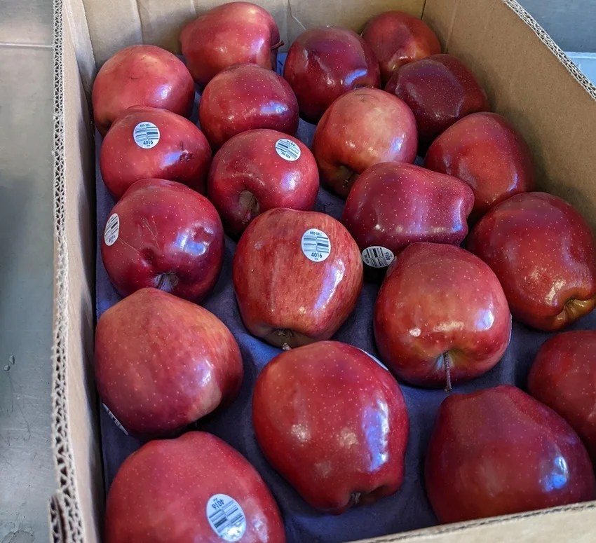 Identify Real vs Artificial Apples