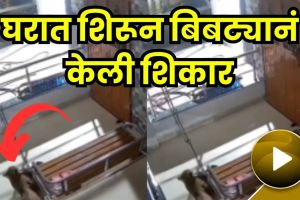 Leopard attack in village
