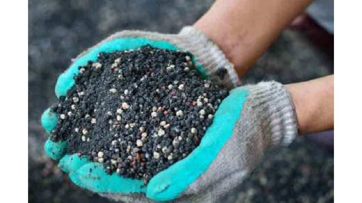 Licenses of 6 fertilizer sellers in Ratnagiri district suspended