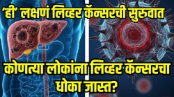 लिव्हर कॅन्सरची सुरुवातीला दिसतात ‘ही’ मोठी लक्षणे; ‘या’ लोकांना जास्त धोका, आरशात दिसणारे त्वचेवरील असे बदल वेळीच ओळखा, नाहीतर…