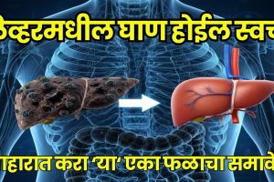 Fatty Liver Home Remedy