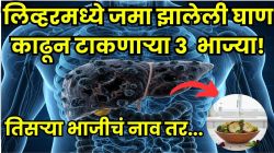 लिव्हरमध्ये जमा झालेली घाण बाहेर फेकणार ‘या’ ३ भाज्या; लिव्हर होईल स्वच्छ, पण तिसऱ्या भाजीचं नाव ऐकून तुम्हीही व्हाल थक्क
