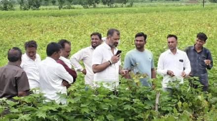 MP Amar Kale also hinted at Nirvana to the government