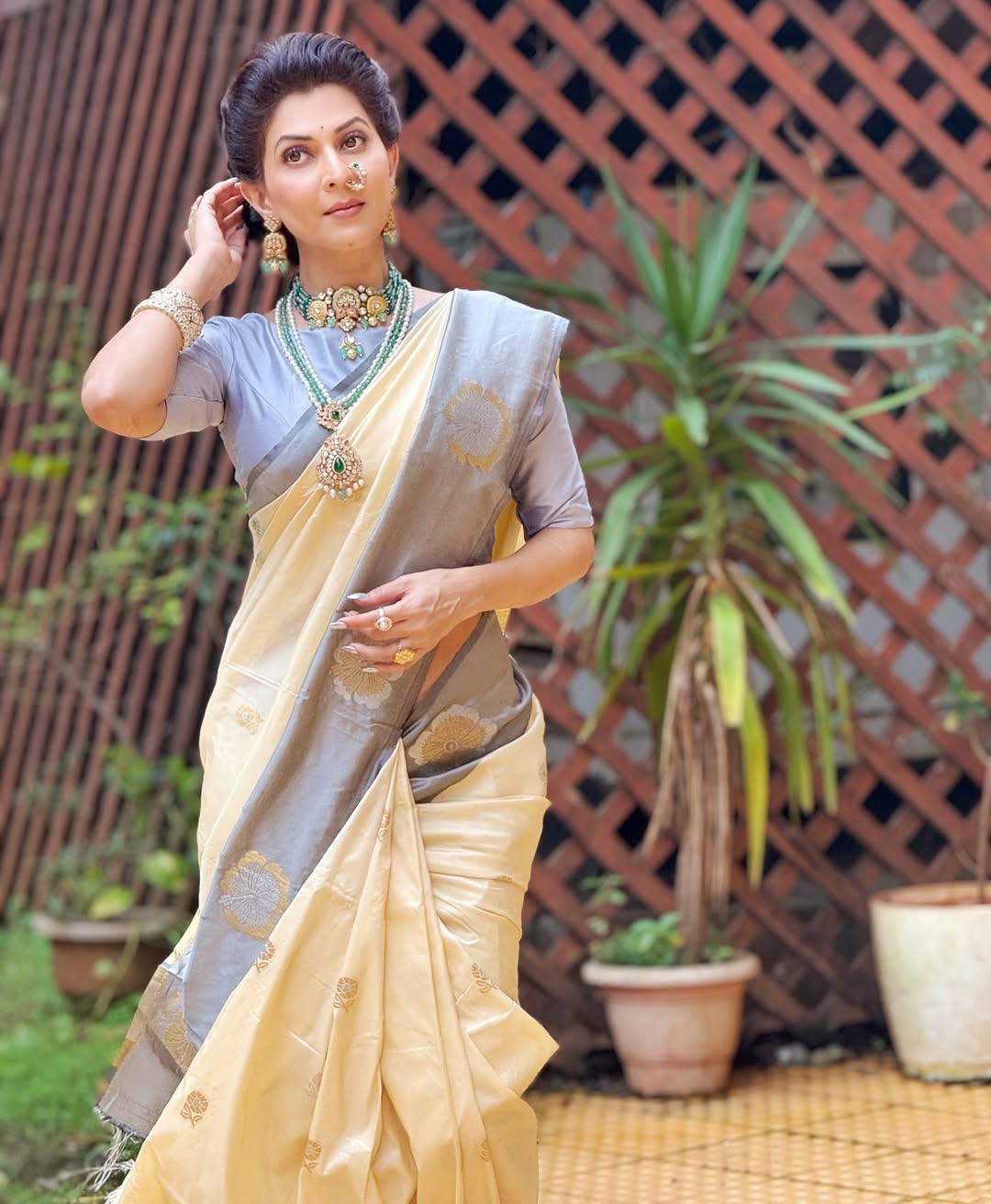 Madhavi Nimkar Saree Look