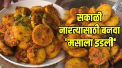 VIDEO: सकाळी नाश्त्यासाठी बनवा ‘मसाला इडली’; झटपट होणारी रेसिपी मुलांना घाला खाऊ