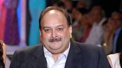 Mehul Choksi : ‘भारतातील गुन्हे बेल्जियममध्येही दंडनीय’, मेहुल चोक्सीला न्यायालयाचा धक्का