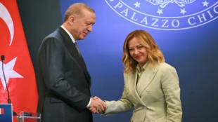 Giorgia-Meloni News