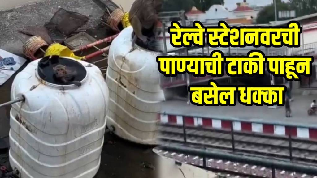Monkeys Play on Railway Station Water Tank
