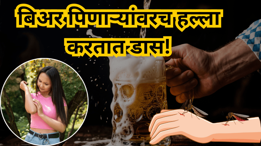 Mosquitoes only attack beer drinkers Shocking conclusion of new research read why this happen