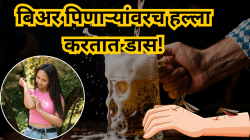 बिअर पिणाऱ्यांवरच हल्ला करतात डास! नवीन संशोधनाचा धक्कादायक निष्कर्ष, वाचा असे का घडते?
