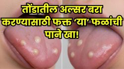 सतत तोंड येतं? जीभ आणि ओठांवर लाल फोड व जखमा होतात? फक्त ‘या’ फळांची पानं खा; तोंडातील अल्सर होईल बरा