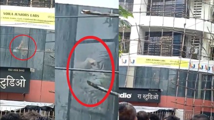 Mumbai Children Kidnap News Mumbai Children Kidnap News