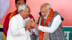बिहारमध्ये नितीश कुमारांनी भाजपाला दिलं बरोबरीचं स्थान, NDA चा फॉर्म्युला ठरला; मित्रपक्षही खुश!
