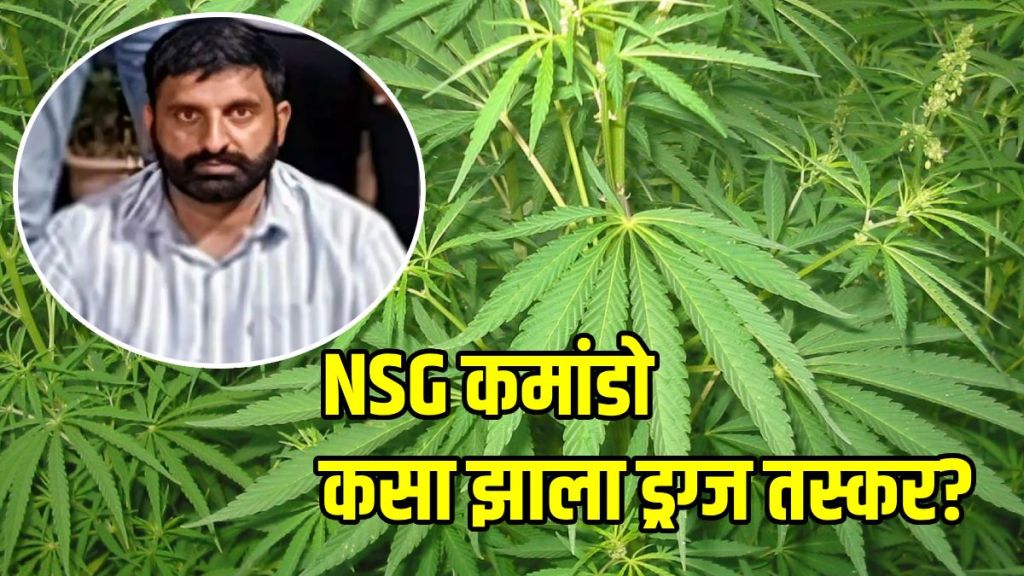 NSG commando cannabis smuggling racket