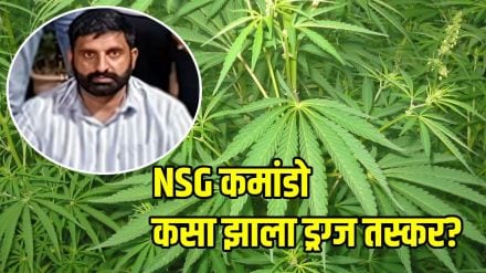 NSG commando cannabis smuggling racket