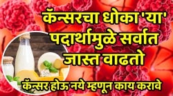 कॅन्सरचा धोका ‘या’ पदार्थामुळे सर्वात जास्त वाढतो; खाणं आत्ताच थांबवा, डॉक्टरांनी सांगितलं कॅन्सर होऊ नये म्हणून काय करावे
