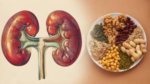 Kidney Health: आरोग्यादायी पण किडनीसाठी हानिकारक असणारे ‘हे’ ६ अन्नपदार्थ