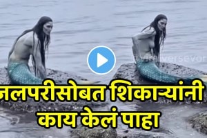 Shocking video A Real Mermaid Was Seen Sitting On A Rock In The Water Hunters Saw And The Mermaid Trapped Her