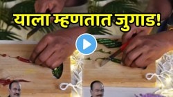 याला म्हणतात जुगाड! लाल-हिरव्या मिरच्यांपासून तयार केली दिवाळीची लायटिंग…VIDEO पाहाल तर थक्क व्हाल