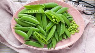 Peas nutritious