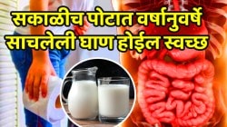 सकाळीच पोटातील वर्षानुवर्षे साचलेली घाण होईल स्वच्छ; फक्त दुधात दोन थेंब ‘हे’ तेल मिसळा, झटक्यात होईल पोट साफ