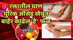 हाडांमधील, रक्तातील घाण युरिक अ‍ॅसिड खेचून बाहेर काढेल ‘हे’ ५ रुपयांचे फळ; सांधेदुखी कायमची होईल कमी