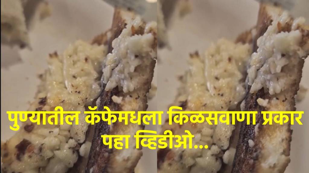 पुण्यातील कॅफेमध्ये जेवणात जिवंत अळ्या