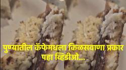 किती घाण… चीझ चिली टोस्टमध्ये आढळल्या जिवंत अळ्या, पुण्यातील कॅफेमधला किळसवाणा प्रकार, video viral