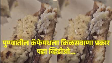 पुण्यातील कॅफेमध्ये जेवणात जिवंत अळ्या