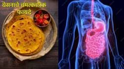 बेसनाचे ‘हे’ फायदे वाचून व्हाल अवाक… मधुमेह आणि हृदयासाठी आहे खूपच फायदेशीर