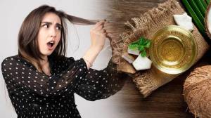 केस गळती थांबवण्याचा ‘रामबाण’ उपाय! घरच्या घरी बनवा ‘हे’ खास नैसर्गिक तेल