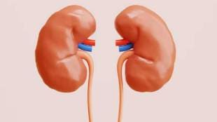 Kidney Health