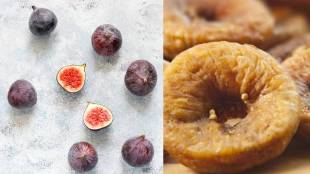 Figs benefits