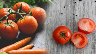 tomato history